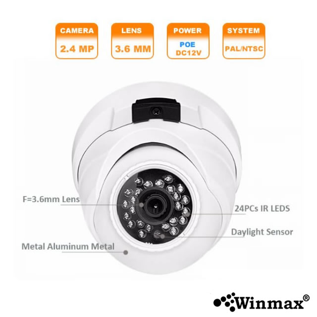 Network CCTV Dome IP PoE Camera With Audio IP66