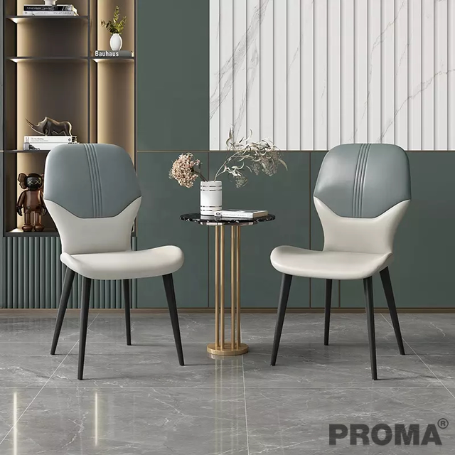 Metal Frame Multi-Scene Application Soft Dining Chair