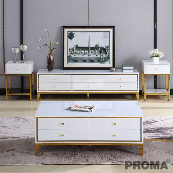 TV Table With Shelf In Modern Style Luxurious