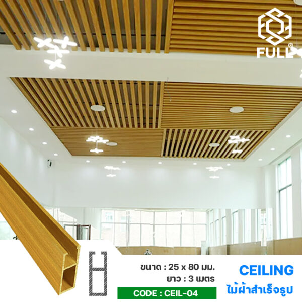  ྴҹ ٻ  FULL-CEIL-04