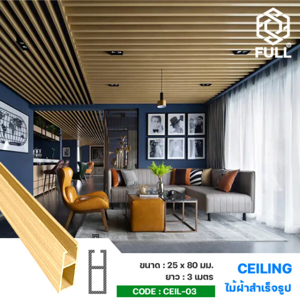  ྴҹ ٻ FULL-CEIL-03