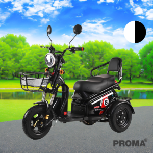 䫤俿 3  Ҵ PROMA EV-G  EM3W-1s