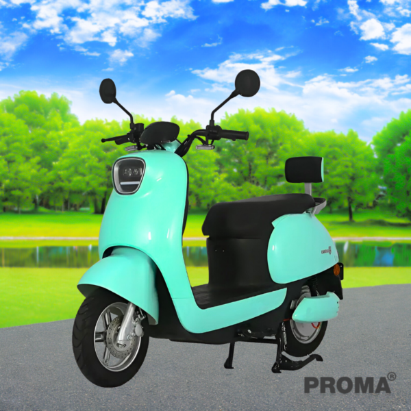 䫤俿 2  Bright Colorful Style PROMA EV-G  EM2W-5T