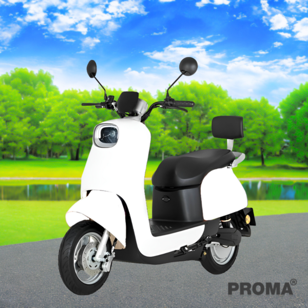 䫤俿 2  Bright Style PROMA EV-G  EM2W-6T