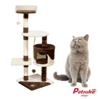 ͹ Petsuka ٧ 110 .