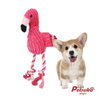 ꡵عѢ Petsuka ꡵ҹԧ§ ꡵ҢѴѹѵ§