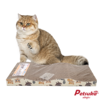 Ѻ Petsuka ¡ٹ Ẻ