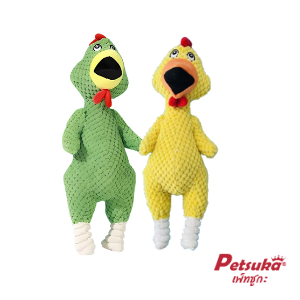꡵ Petsuka ͧ蹢Ѵѹѵ§ §ͧ 